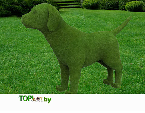 топиарное искусство, ландшафтный дизайн, топиарий, дизайн сада, топиари, садовая мебель, топиарий своими руками, садовые фигуры