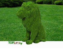 ТОПИАРНАЯ ФИГУРА ЛЕВ , вечнозеленые садовые фигуры, зеленые буквы, 